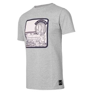 Remera Capslab Harry Potter De Hombre