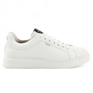 Zapatillas Ringo Point 01 De Hombre