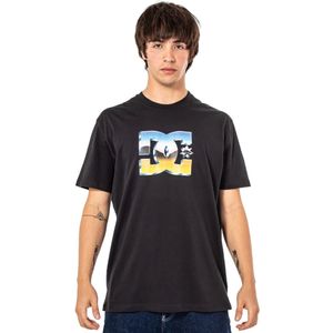 Remera DC Shoes Chrome Star De Hombre